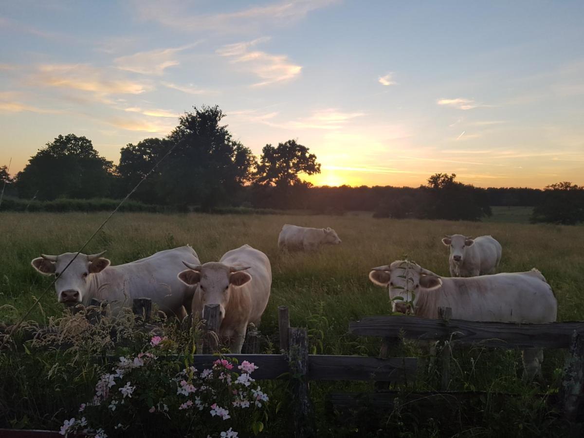 La Lisiere Du Morvan Magny-Lormes Exterior foto