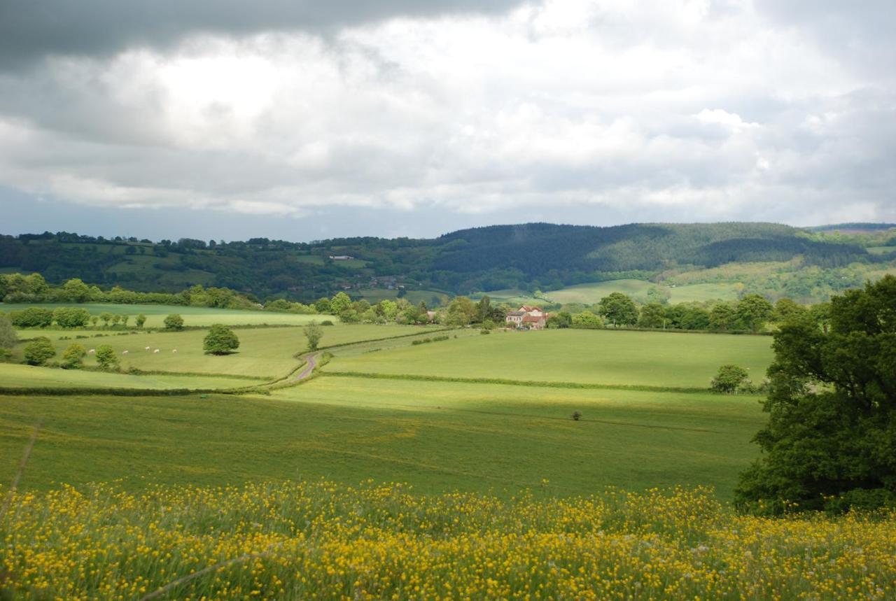 La Lisiere Du Morvan Magny-Lormes Exterior foto